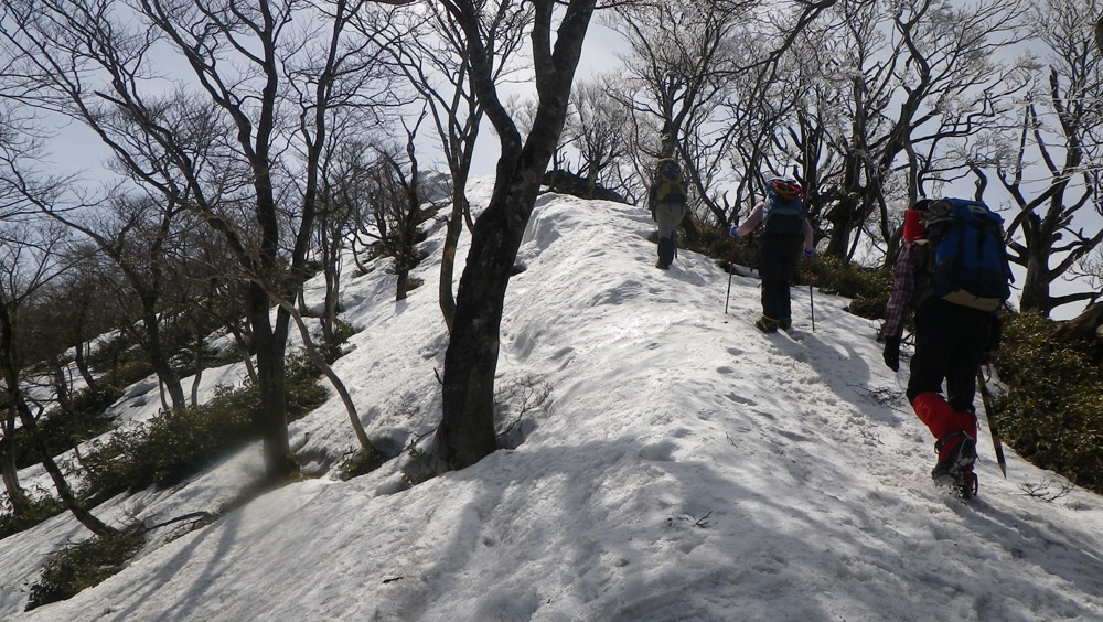 c0042847_83433100.jpg