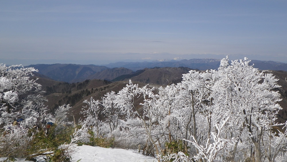c0042847_843950.jpg