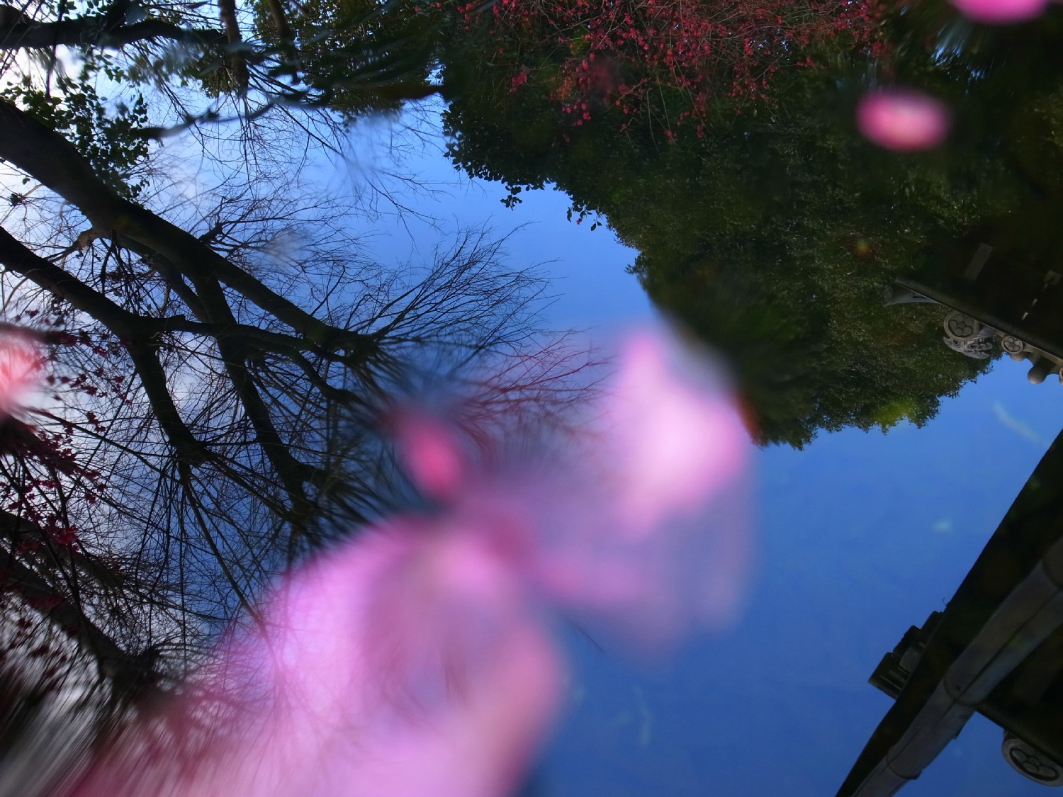 e0009147_9104347.jpg