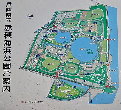 d0031853_3502921.jpg