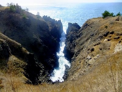 c0097558_1311111.jpg