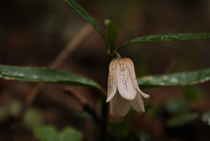 a0091666_2271357.jpg
