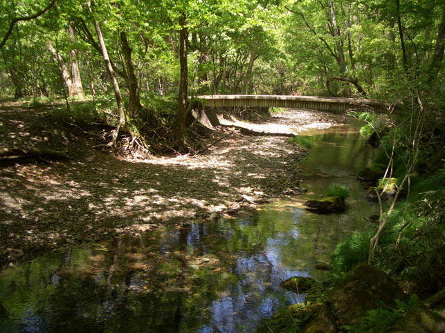 f0176370_175191.jpg