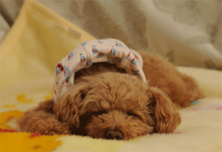 c0196673_2141883.gif