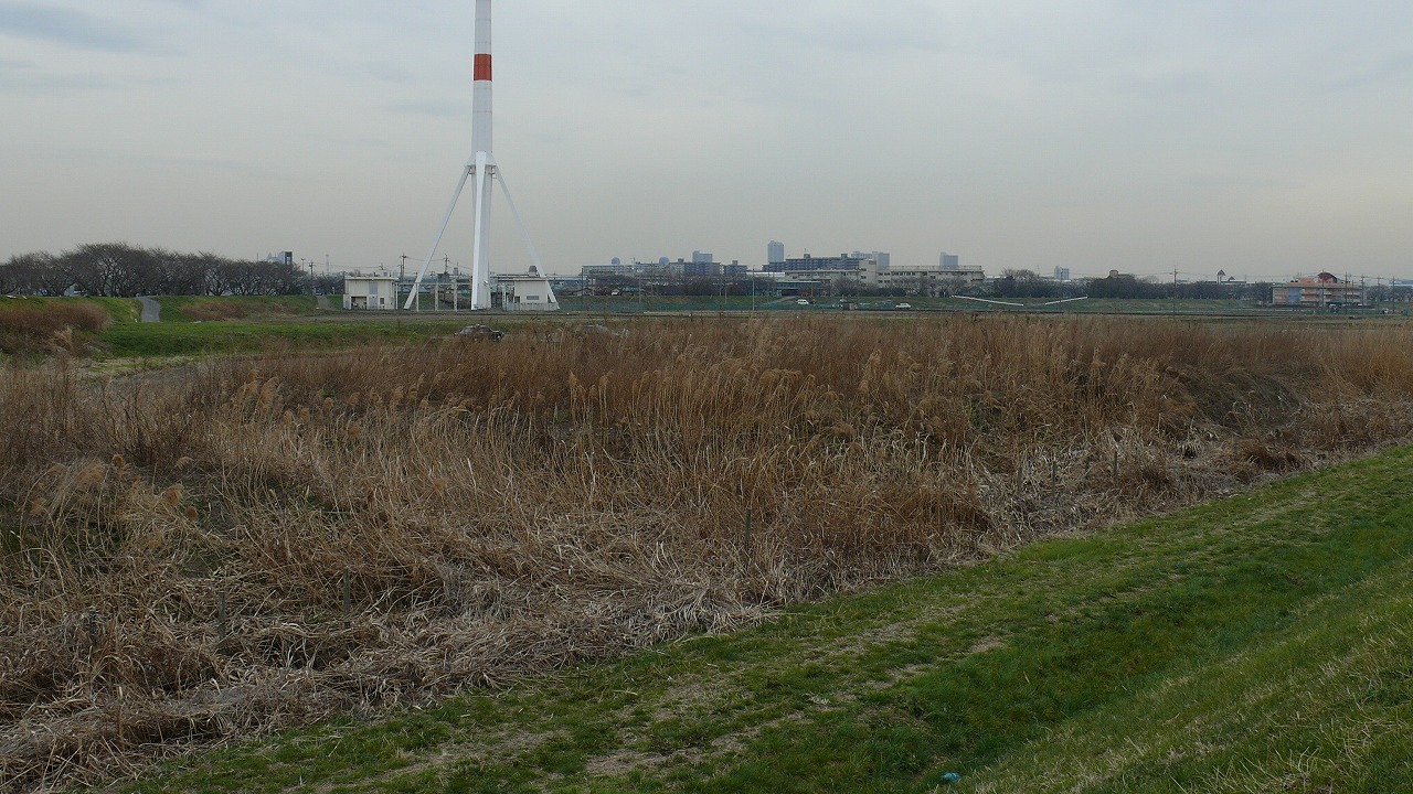 a0185081_1737578.jpg
