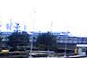 e0060483_2031281.jpg