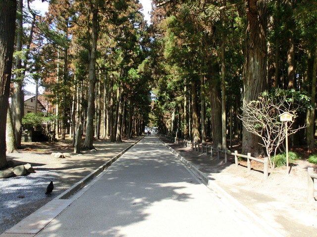 b0203588_854037.jpg