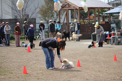 a0234491_1552849.jpg