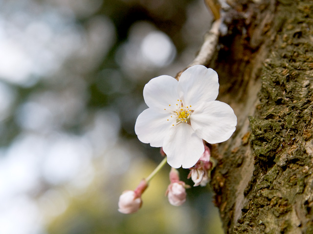 f0201297_1504249.jpg