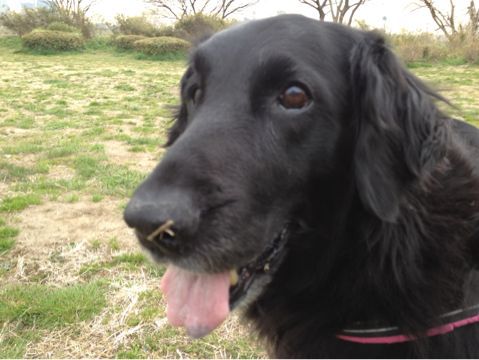 c0050400_16555051.jpg