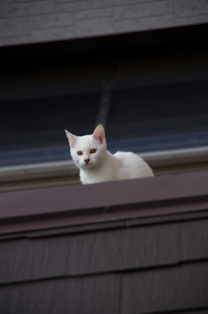 f0239100_3335389.jpg