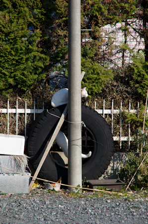 f0239100_4411524.jpg