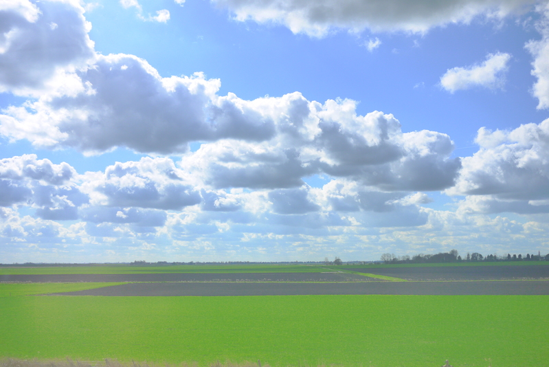 b0170715_829549.jpg
