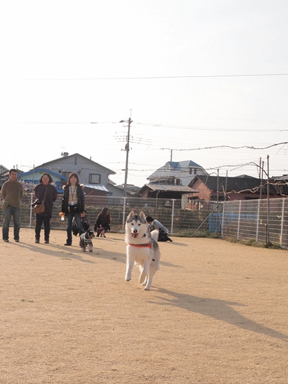b0207615_025268.gif