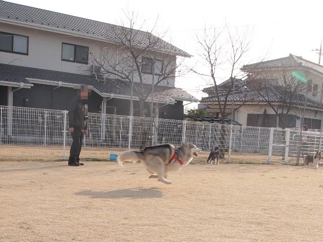 b0207615_0265398.jpg