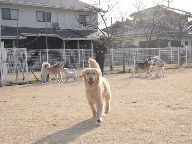 b0207615_0265540.jpg