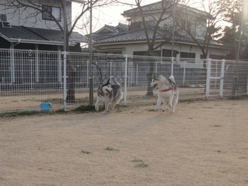 b0207615_0283860.gif