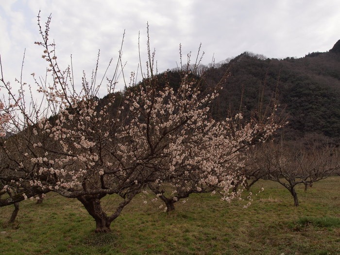 c0116915_0113167.jpg