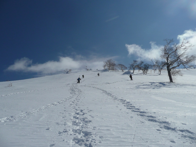 d0168417_22513431.jpg