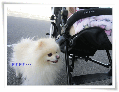 b0167519_1062687.gif