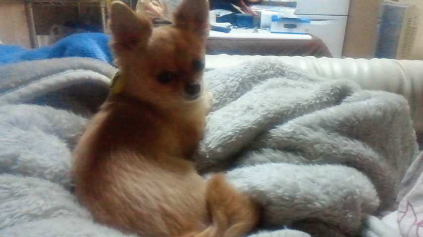 f0227120_0593476.jpg