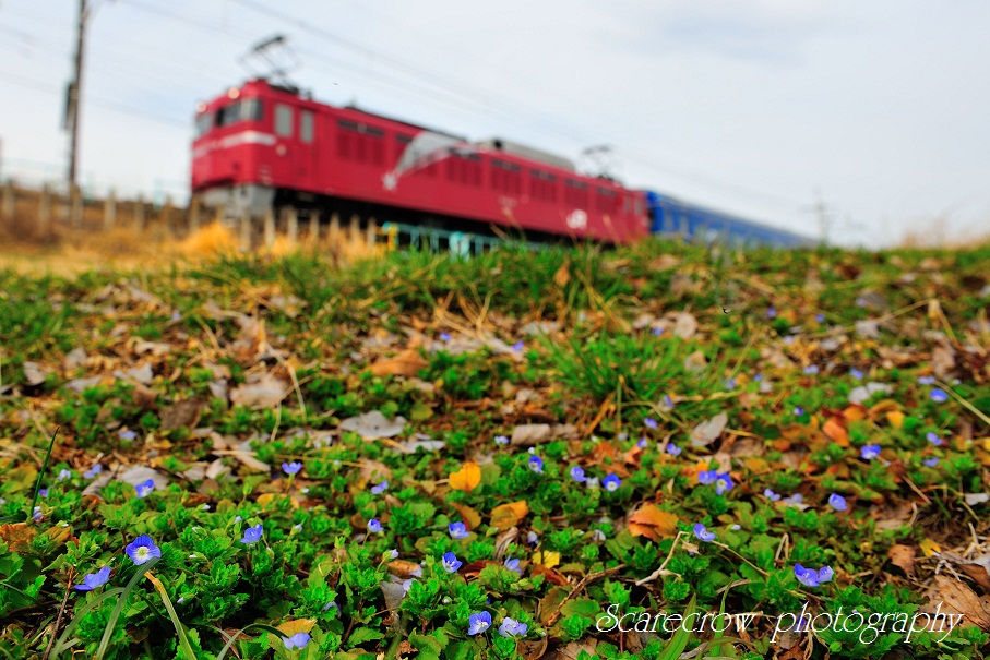 a0255123_2257246.jpg