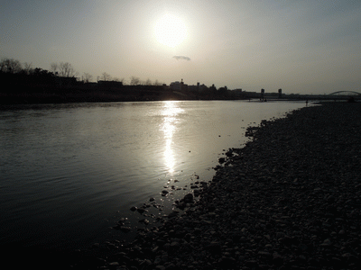 e0098223_23575944.gif
