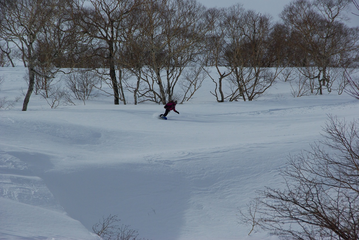 b0062024_914078.jpg