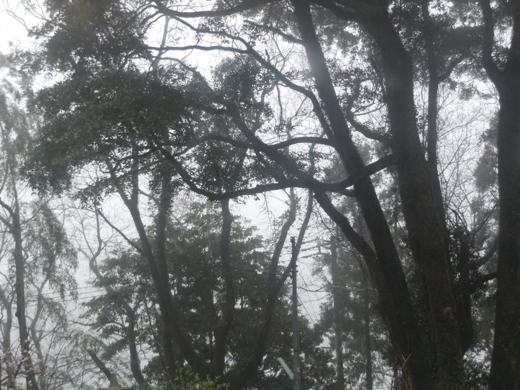 b0157528_1911035.jpg