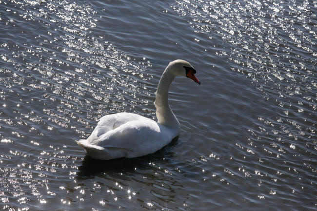 f0017530_220439.jpg