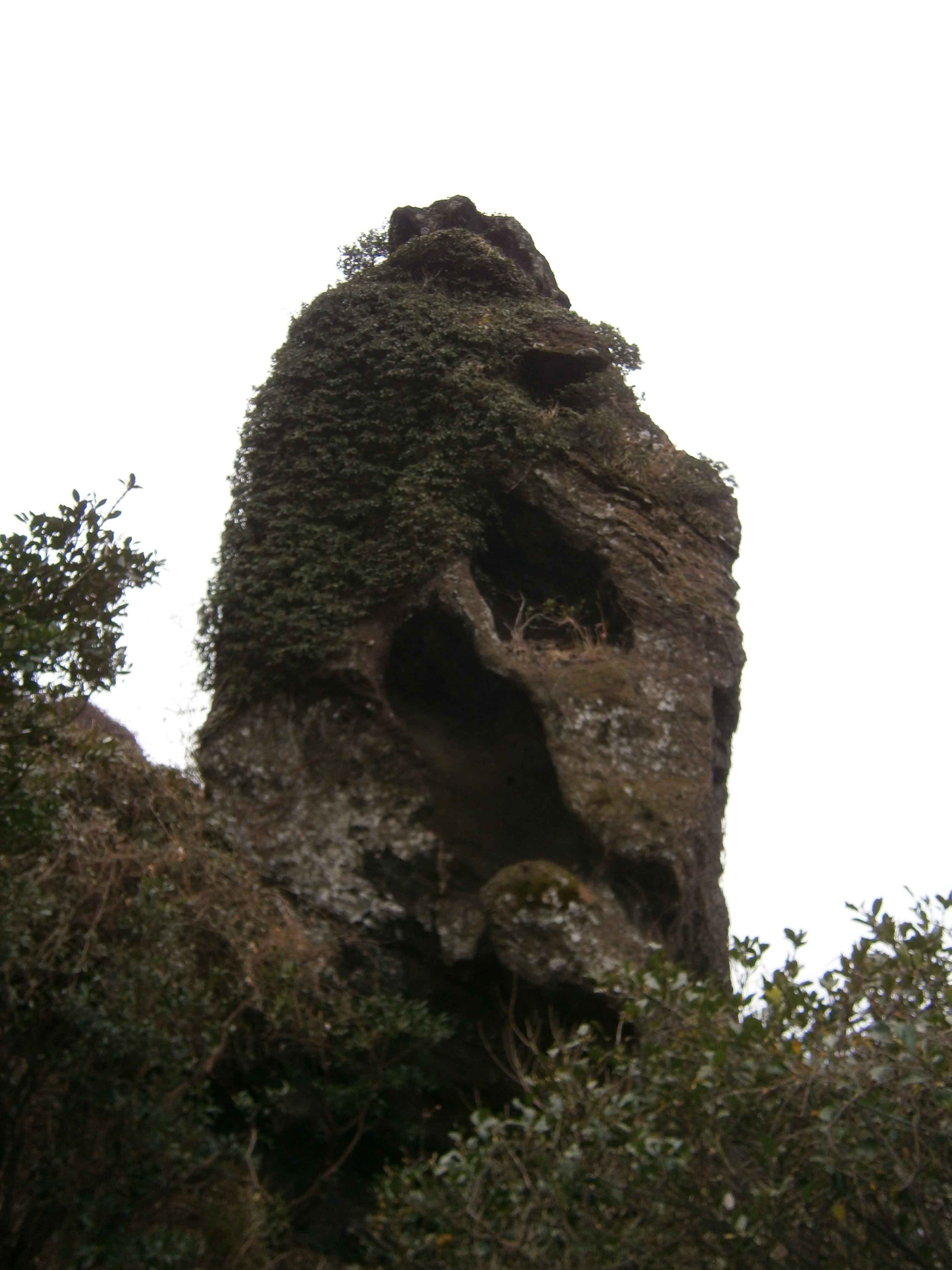 b0022138_22395893.jpg