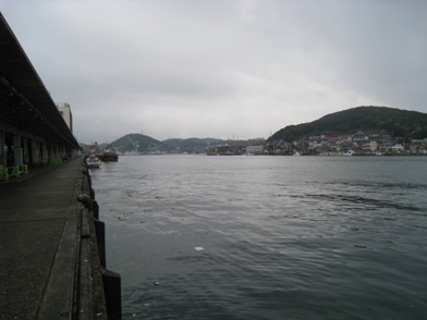 c0077338_5501536.jpg