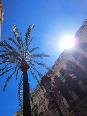 e0145739_90099.jpg