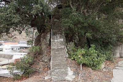 e0156339_22225075.jpg