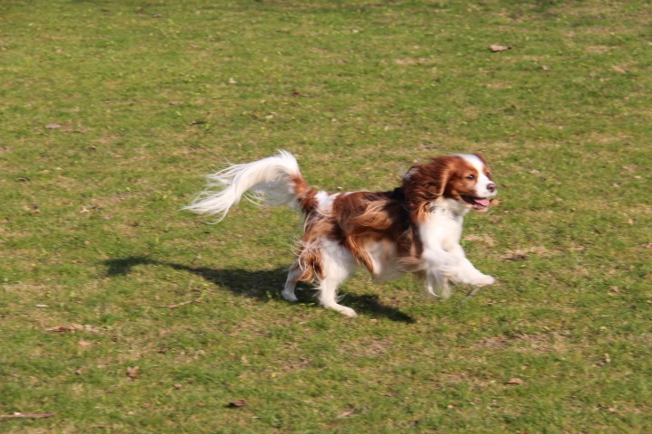 c0153740_4513934.jpg