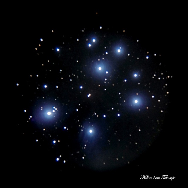b0167343_143358.jpg