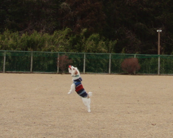 c0156345_10101164.jpg