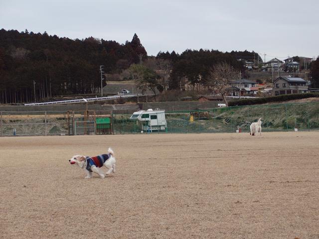 c0156345_1010430.jpg