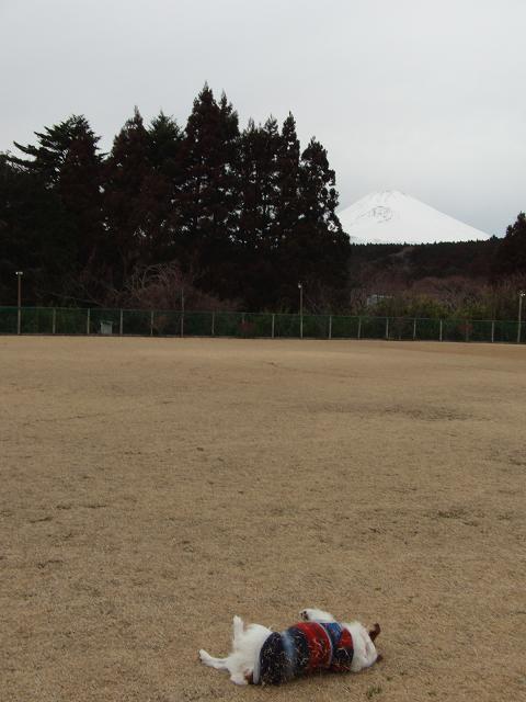 c0156345_10163053.jpg
