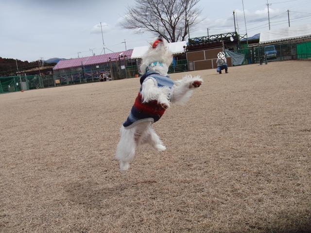 c0156345_1033623.jpg