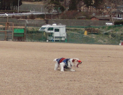 c0156345_1095817.jpg