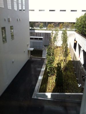 f0189246_718341.jpg