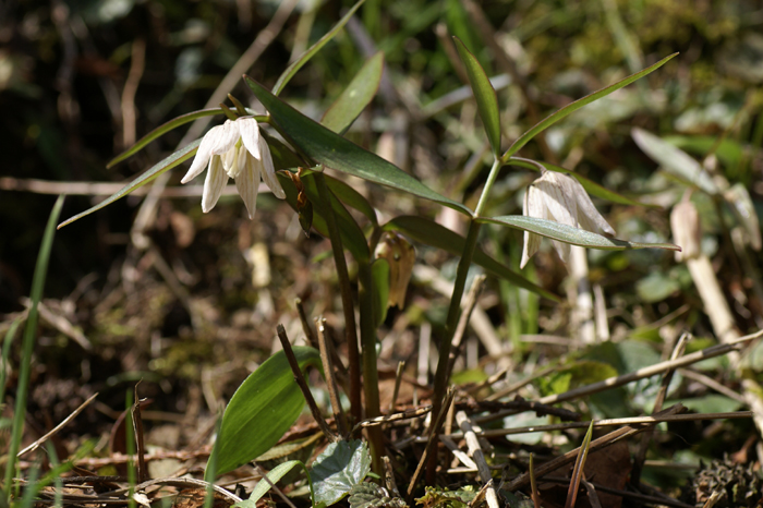 f0214649_445675.jpg
