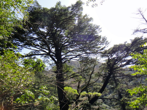 c0179351_713105.jpg