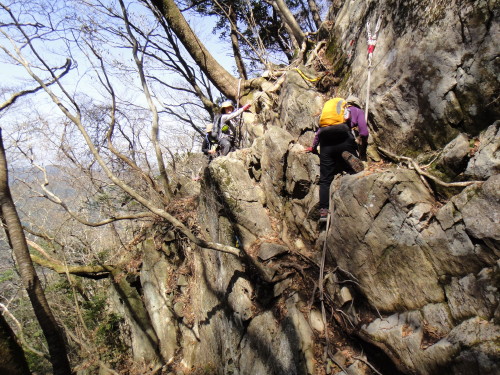 c0179351_7143171.jpg