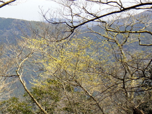 c0179351_7233323.jpg