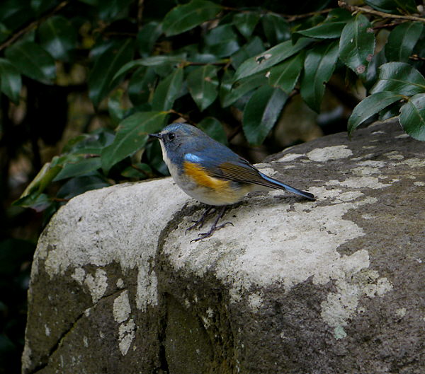 d0091754_23574410.jpg