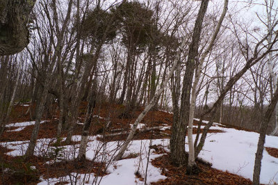 f0182173_14212361.jpg