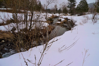 f0182173_1521233.jpg