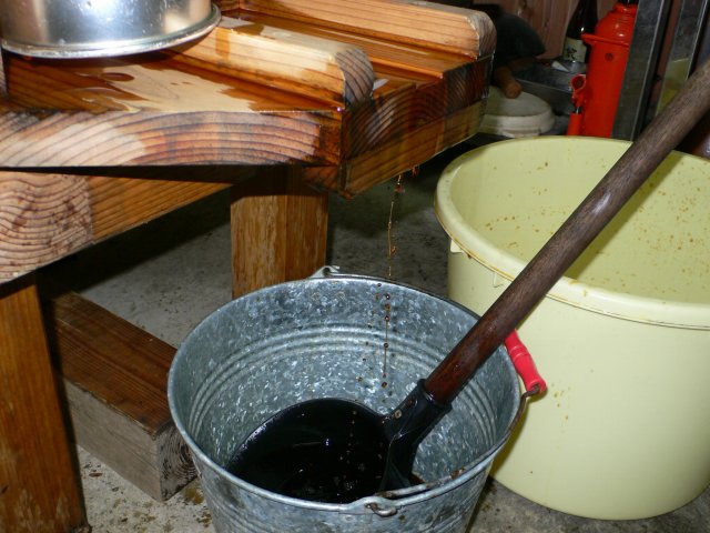 b0042882_1112593.jpg